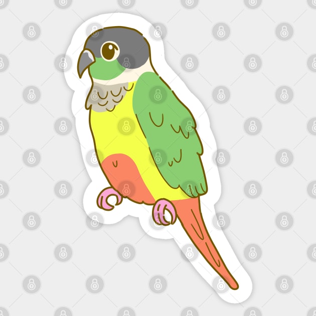 Yellow Sided Green Cheek Conure Sticker by casserolestan